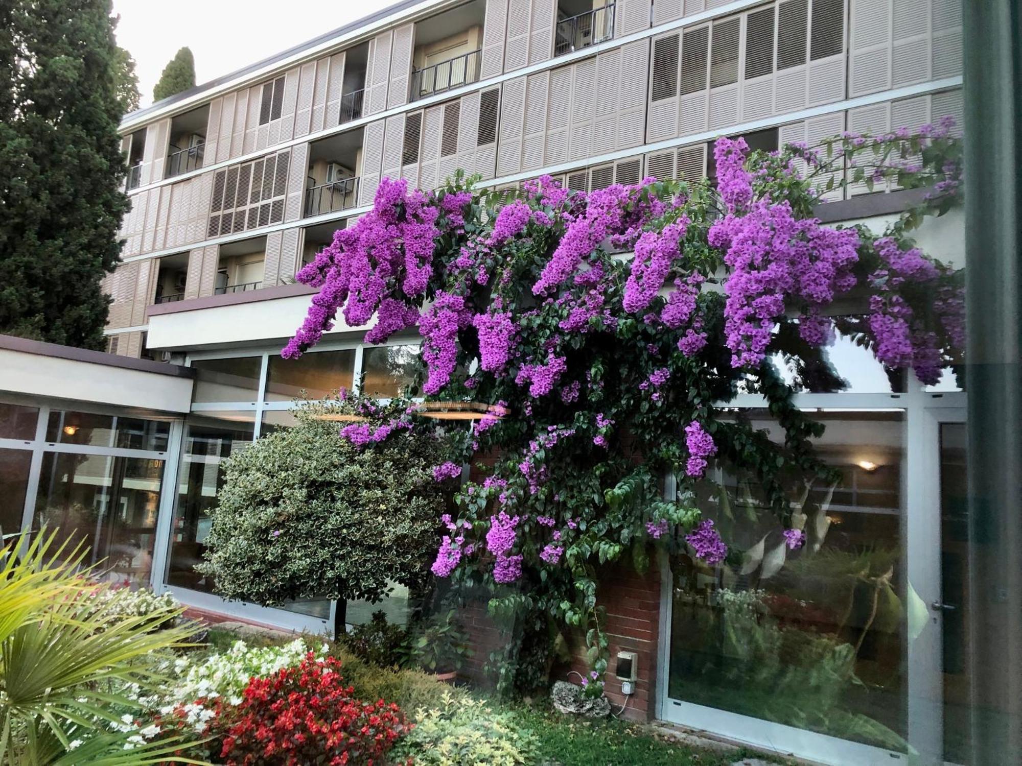 Apartment Alba Gardone Riviera